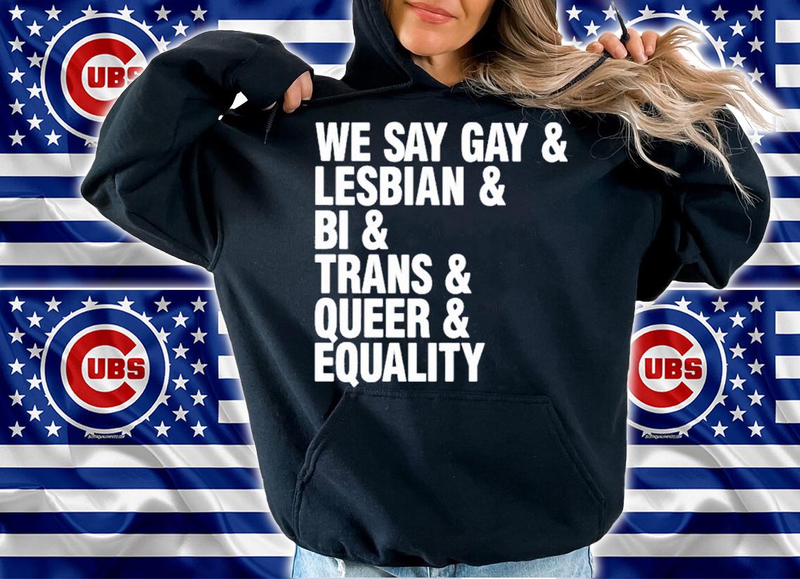 We Say Gay and Lesbian and Bi and Trans and Queer and Equality shirt t-shirt