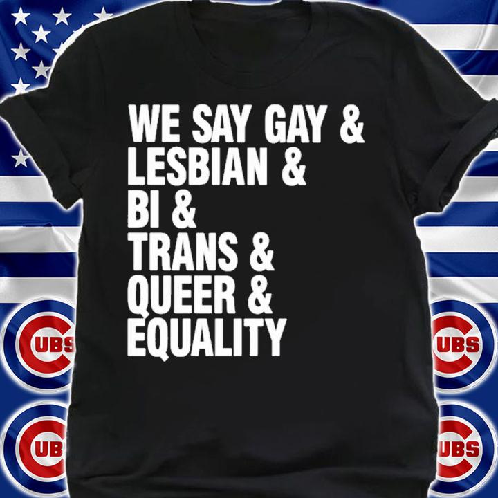We Say Gay and Lesbian and Bi and Trans and Queer and Equality shirt t-shirt