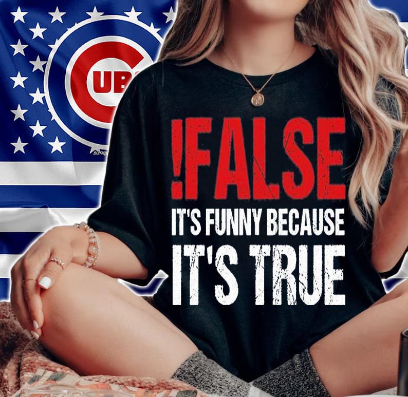 False It's Funny Because It's True Programmer Quote Geek T-Shirt t-shirt woman shirt