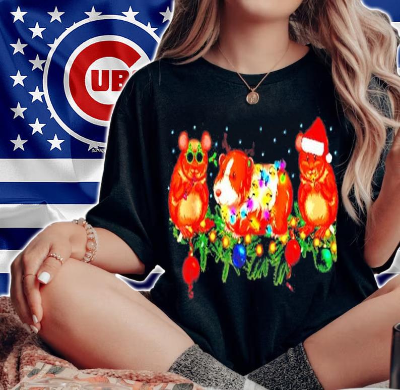 Three Guinea Pig Christmas Lights Santa Hat Xmas Gift T-Shirt t-shirt woman shirt