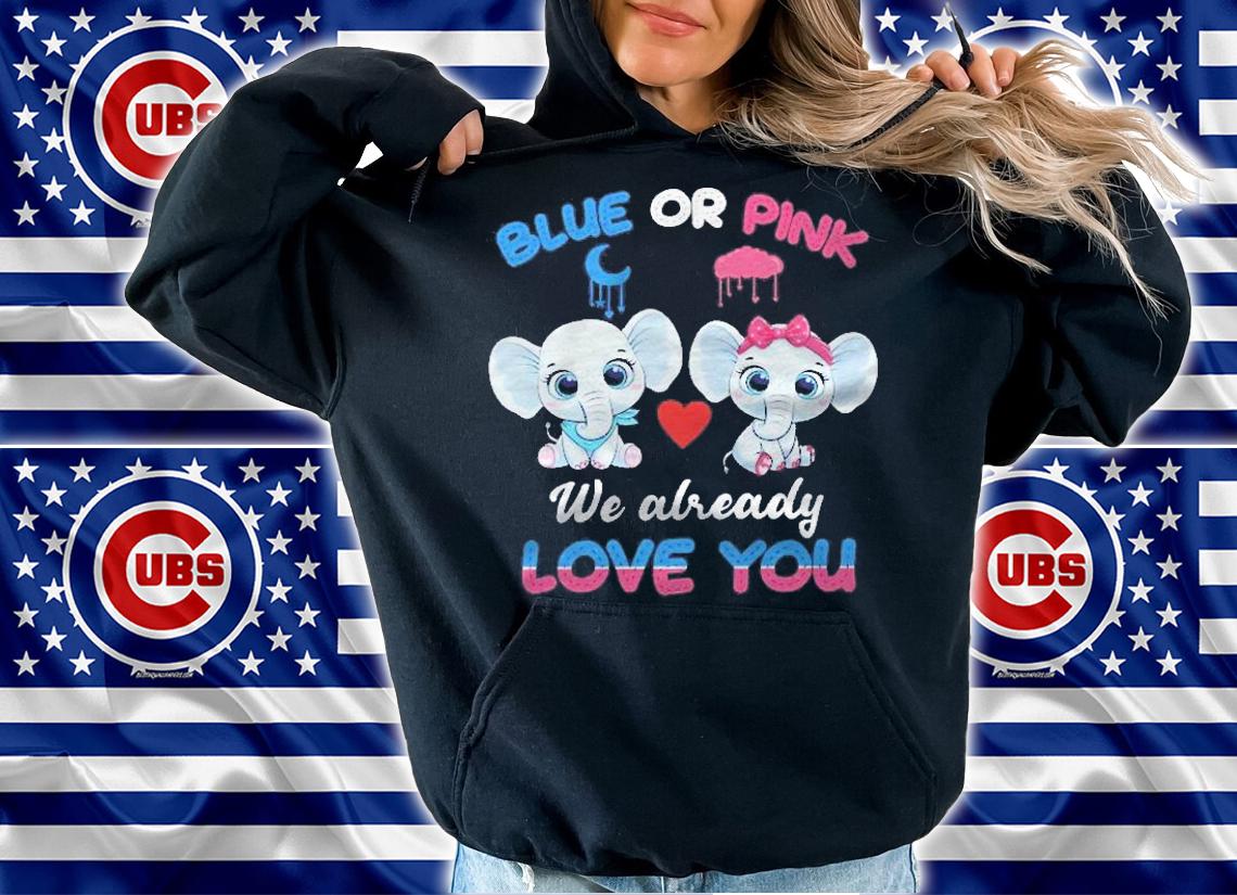 Elephant Baby Pink Or Blue We Already Love You Gender Reveal Shirt hoodie