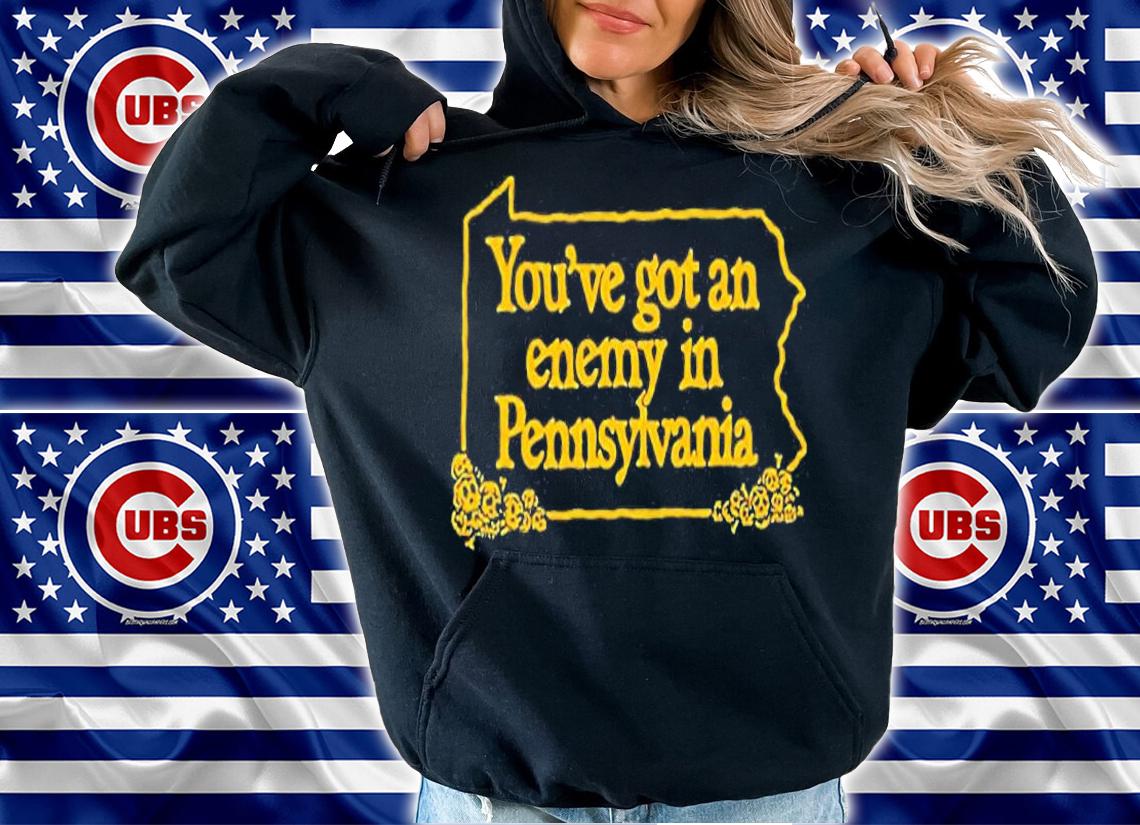 Youve Got An Enemy In Pennsylvania T-Shirt hoodie