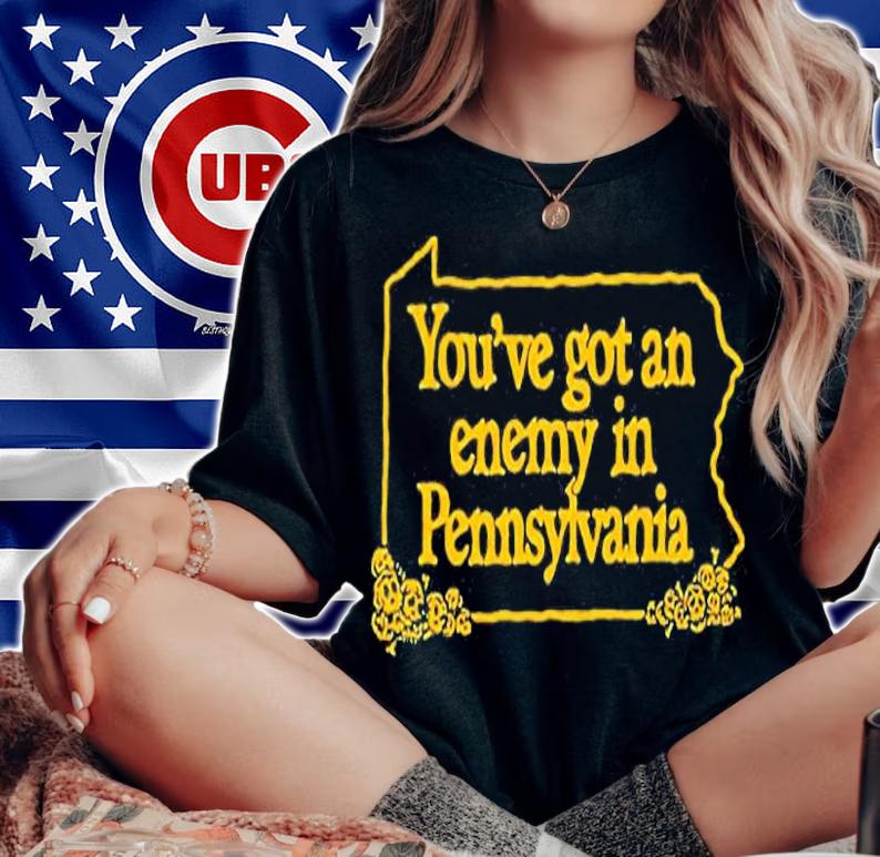 Youve Got An Enemy In Pennsylvania T-Shirt woman shirt