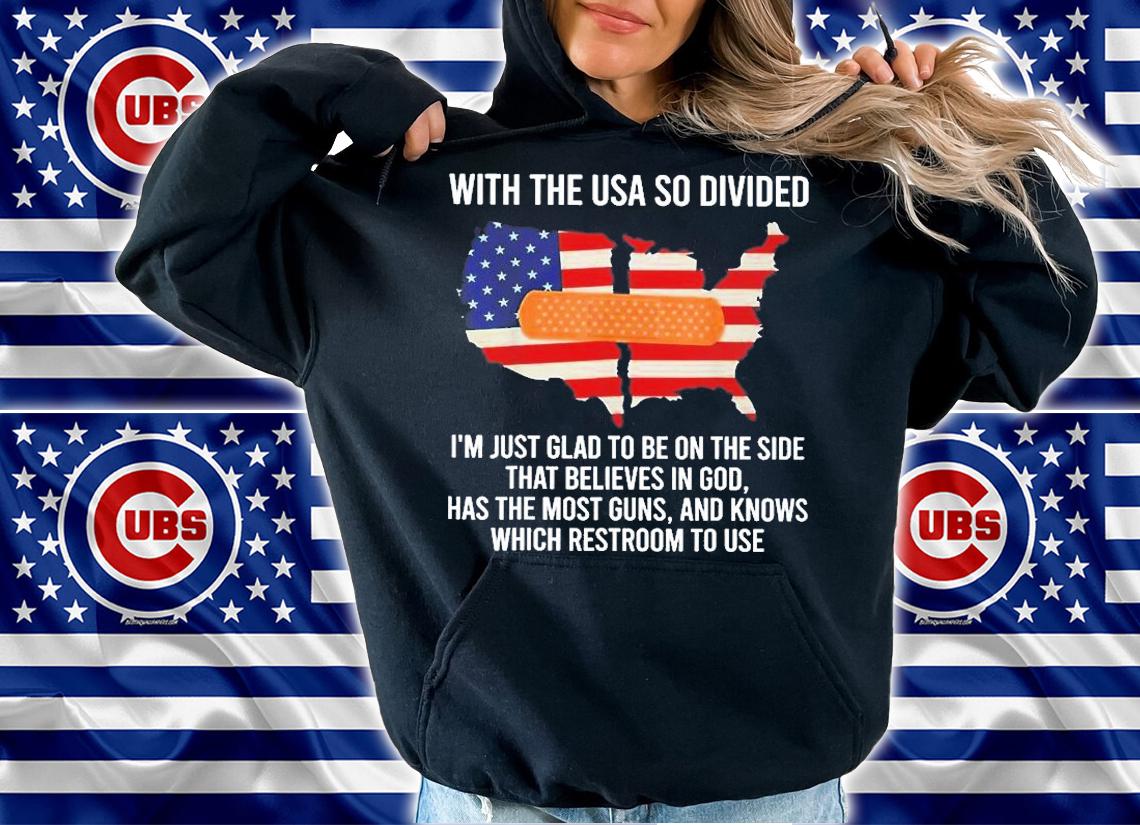 With The Usa So Divided T-Shirt hoodie