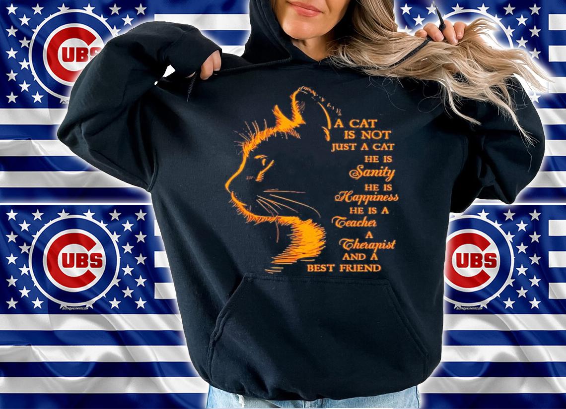A cat is not just a cat he is sanity he is happiness he is a therapist and a best friend shirt hoodie