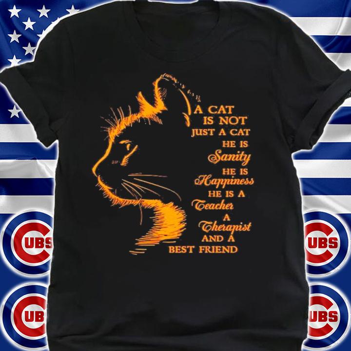 A cat is not just a cat he is sanity he is happiness he is a therapist and a best friend shirt shirt