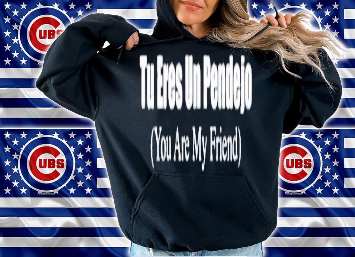 Tu Eres Un Pendejo You are My friend shirt, hoodie, sweatshirt, tank top and v-neck t-shirt hoodie