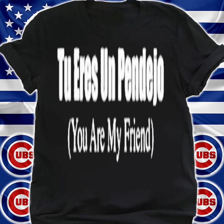 Tu Eres Un Pendejo You are My friend shirt, hoodie, sweatshirt, tank top and v-neck t-shirt shirt