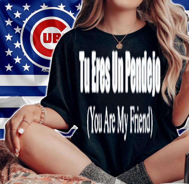Tu Eres Un Pendejo You are My friend shirt, hoodie, sweatshirt, tank top and v-neck t-shirt woman shirt